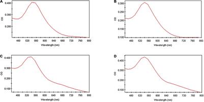 The Activity of Gold Nanoparticles Synthesized Using Helichrysum odoratissimum Against Cutibacterium acnes Biofilms